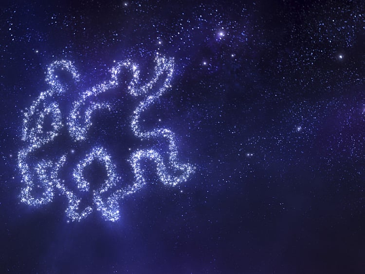 1.1831850-3492615471