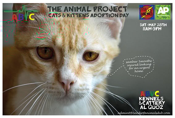 1.1831390-1691154286