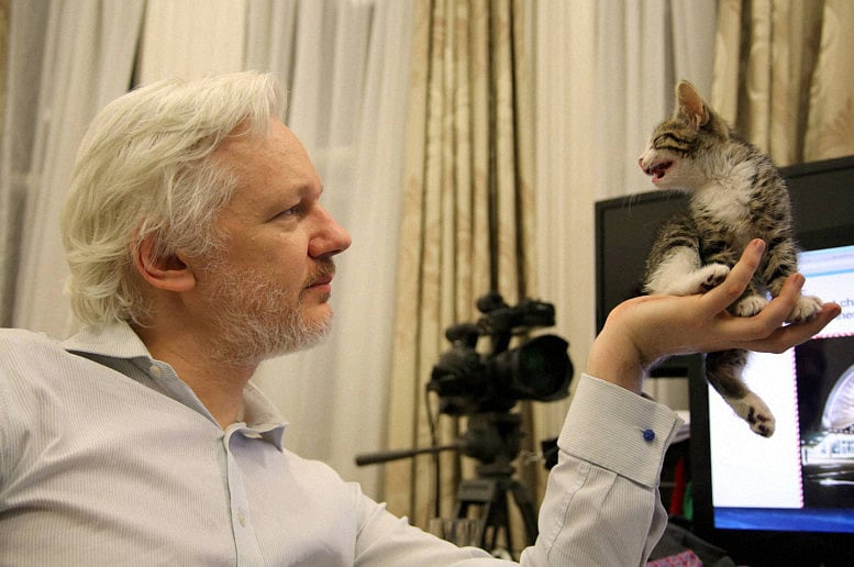 1.1831632-2199238550