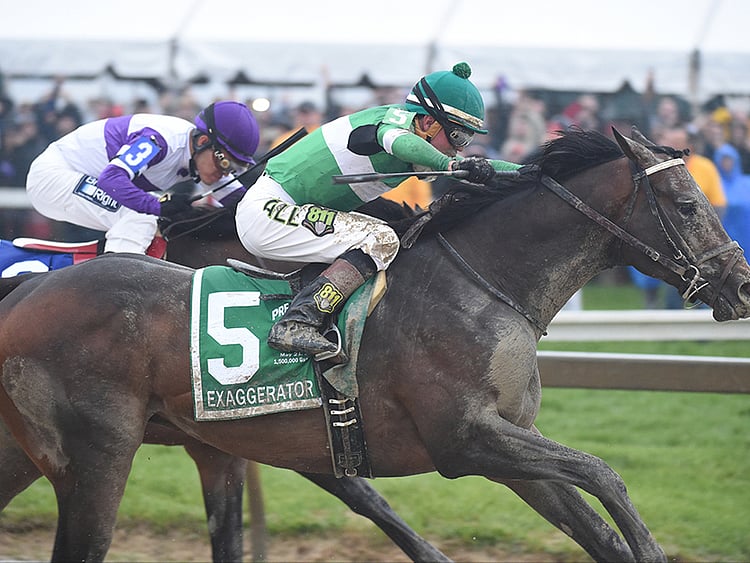 1.1832590-2512769598