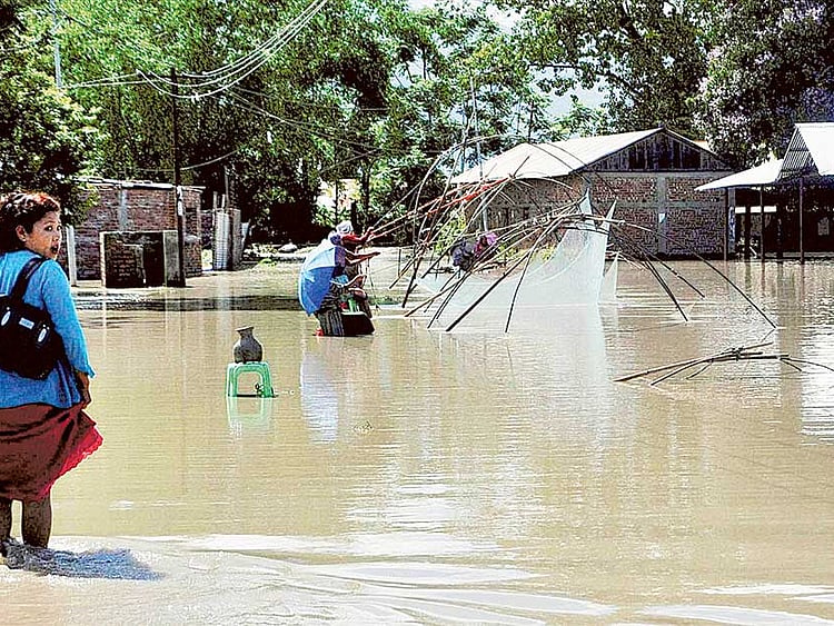 1.1833282-1818172865