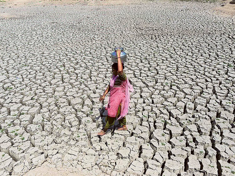 1.1833377-2226019263