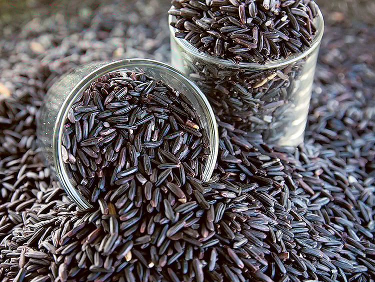 1.1833890-3587362705