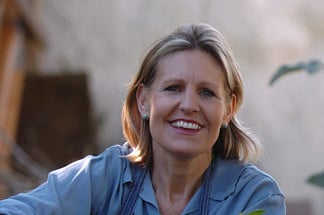 The intriguing Indigo story