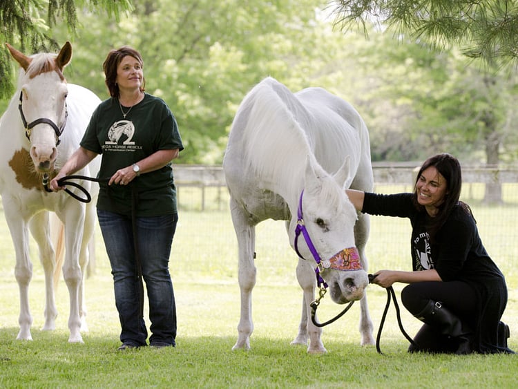 1.1835163-1690234617