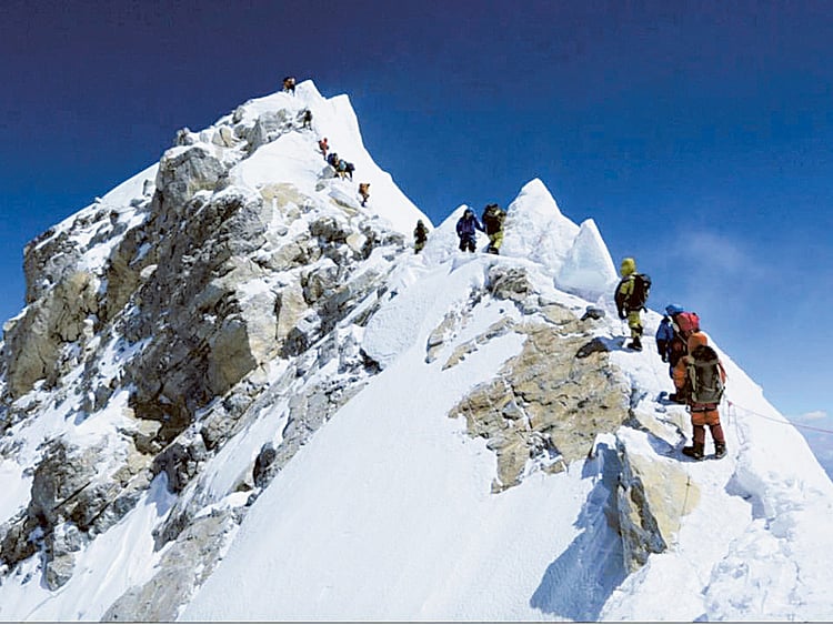 1.1835615-4081356381