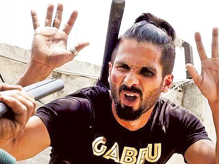 1.1836570-2622368114