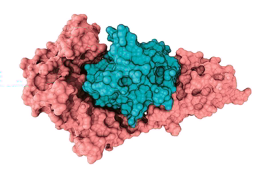 1.1817736-1593784785