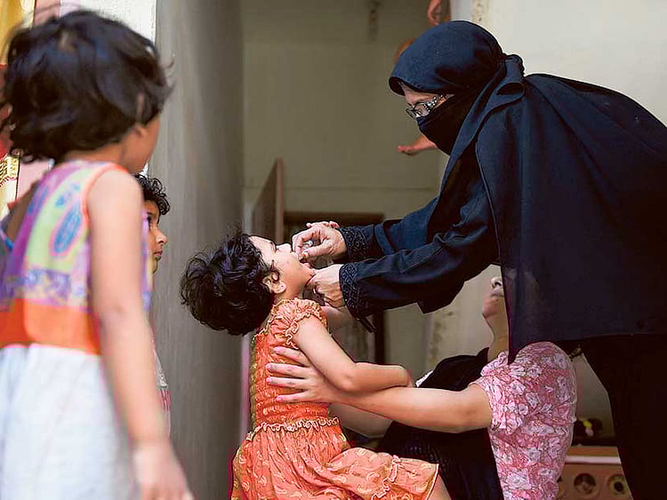 1.1837624-2155866268