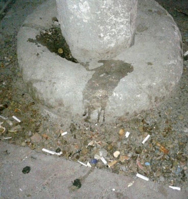 Sneha Krishna Murthi