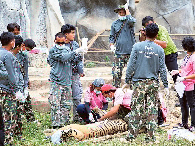 1.1838065-2340419517