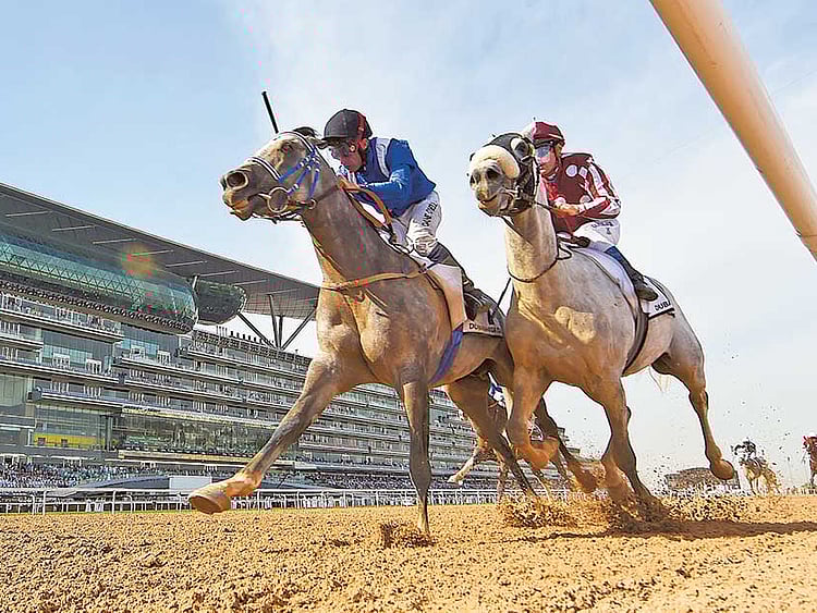 1.1838244-1556466161