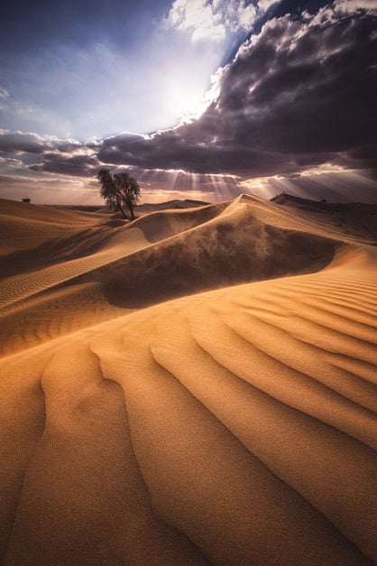 1.1819099-2093005772