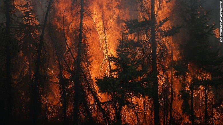 1.1820550-4215408454