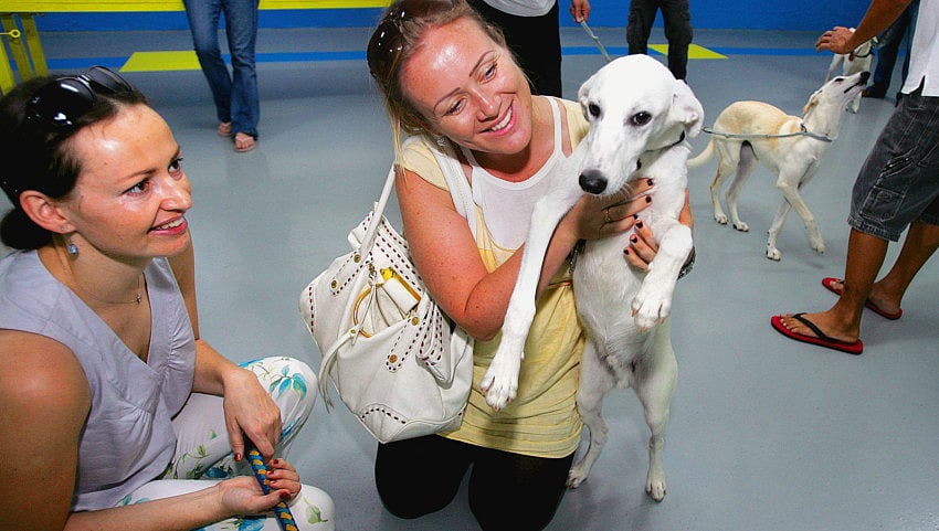 1.1822460-3036792009