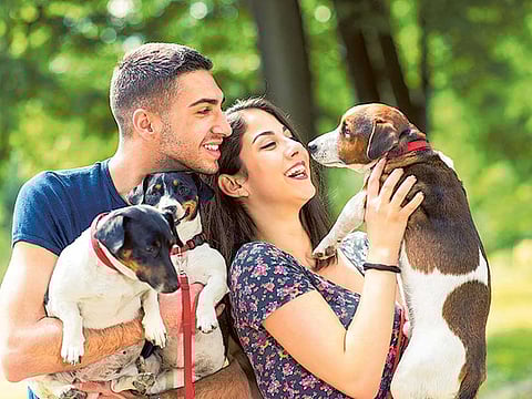 Pet-owners speak of unconditional love