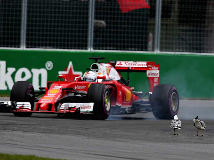 1.1845015-1429017898