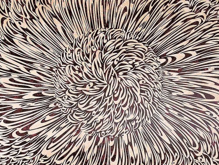 1.1846468-3289975144