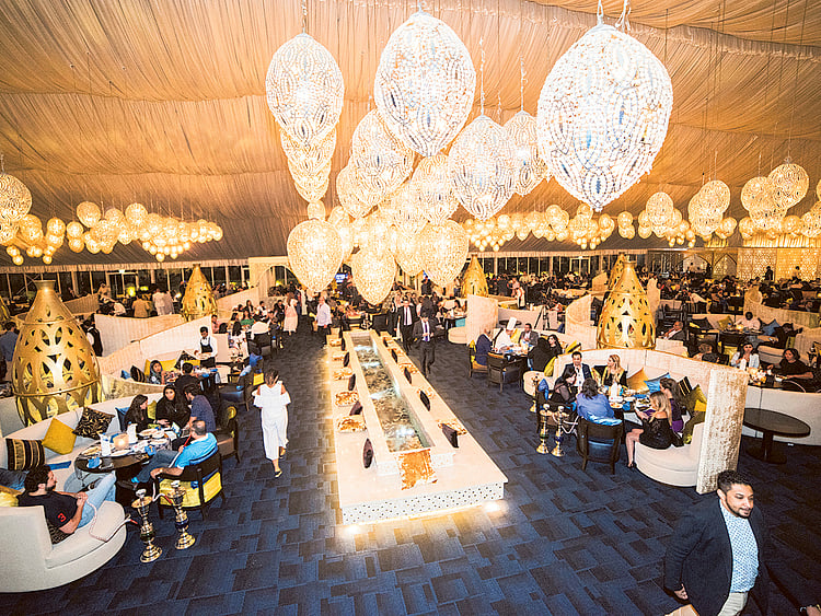 1.1846516-2641944528