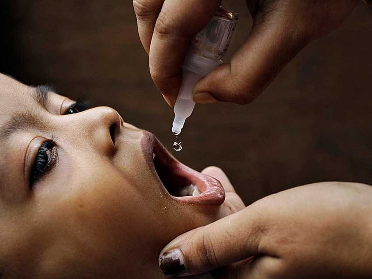 1.2242428-3736920759