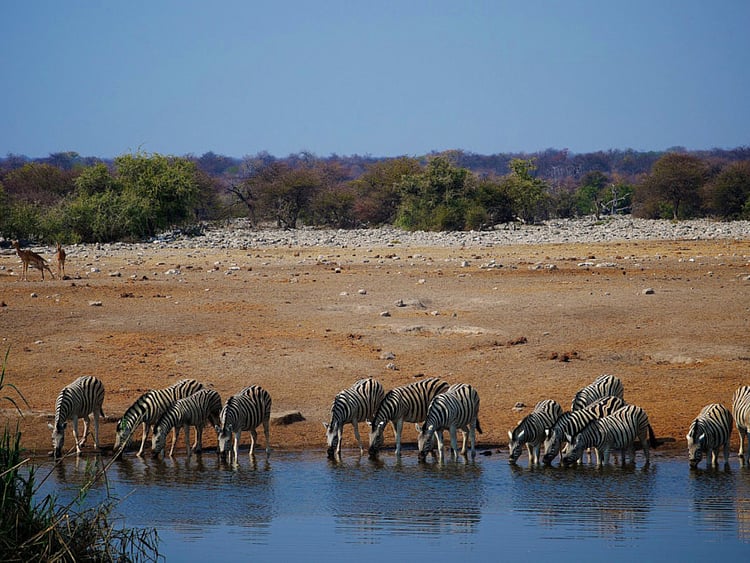 1.1847447-2757002508