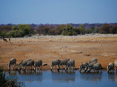 Learning from Namibia