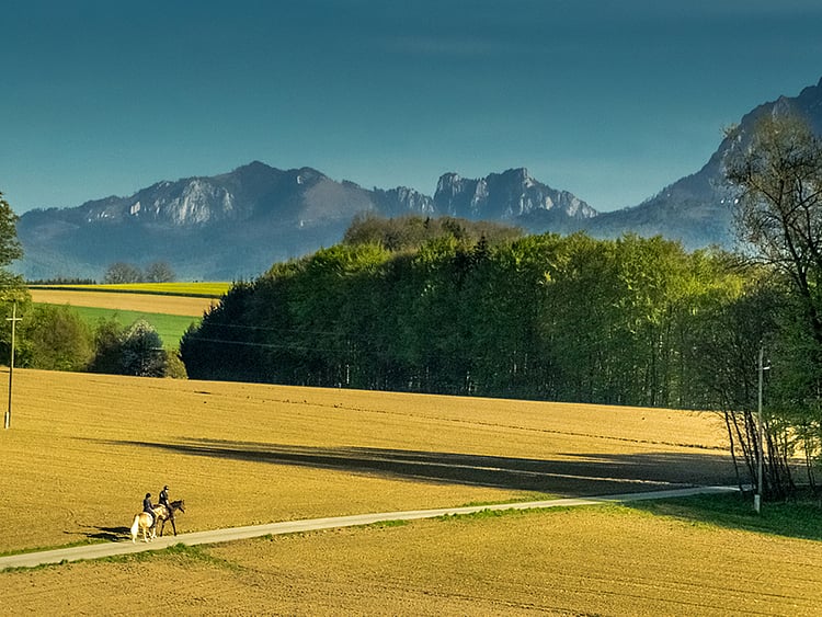 1.1847727-3578927146