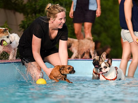 A.K Kallouche/XPRESS