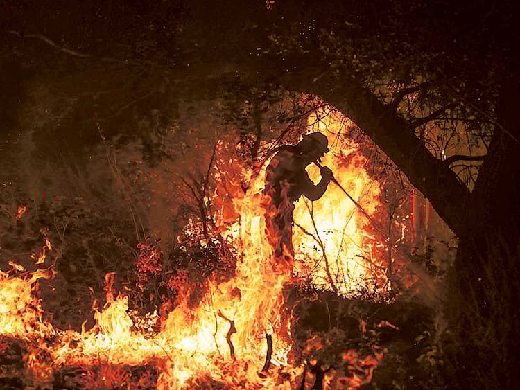 1.1850577-2572090153