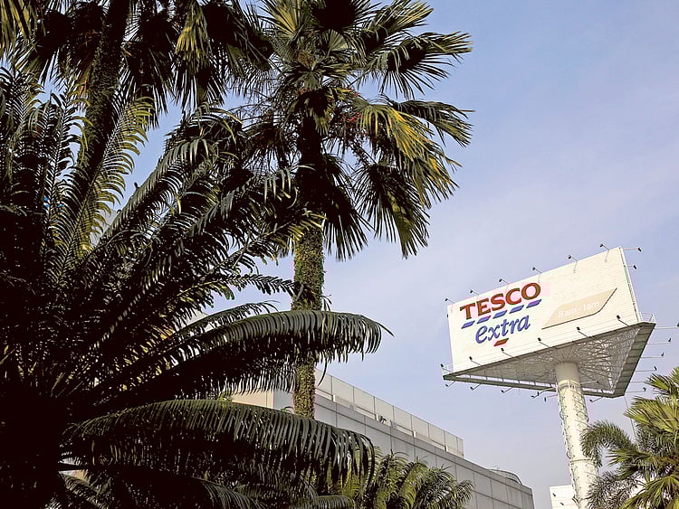 1.1851370-2244982391