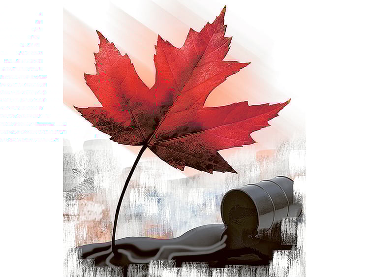 1.1851784-1241306799