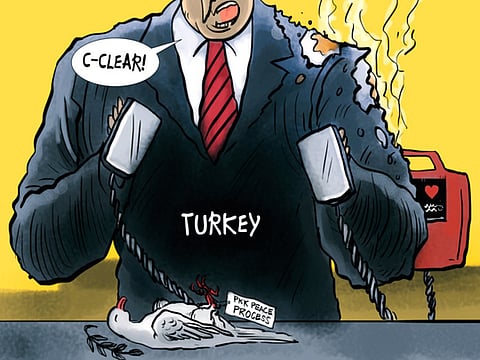 Turkey needs fewer enemies within