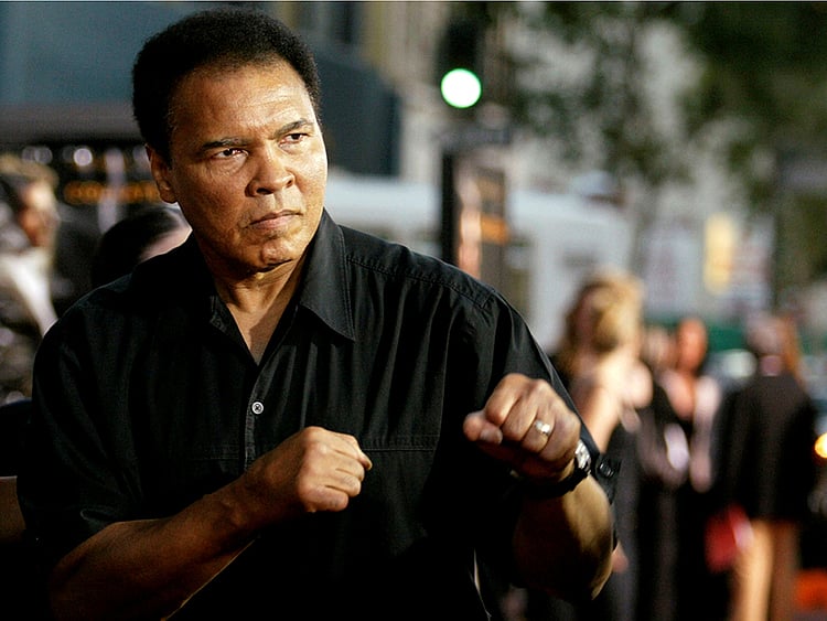 1.1840169-2734512580