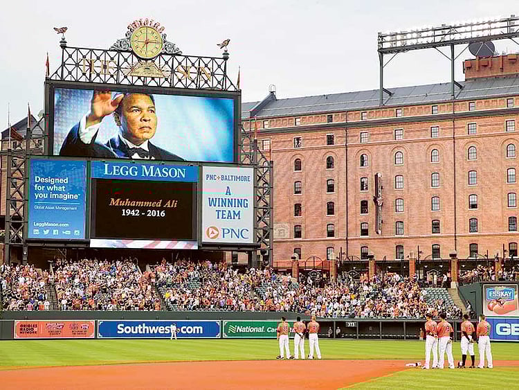 1.1840602-2139852175