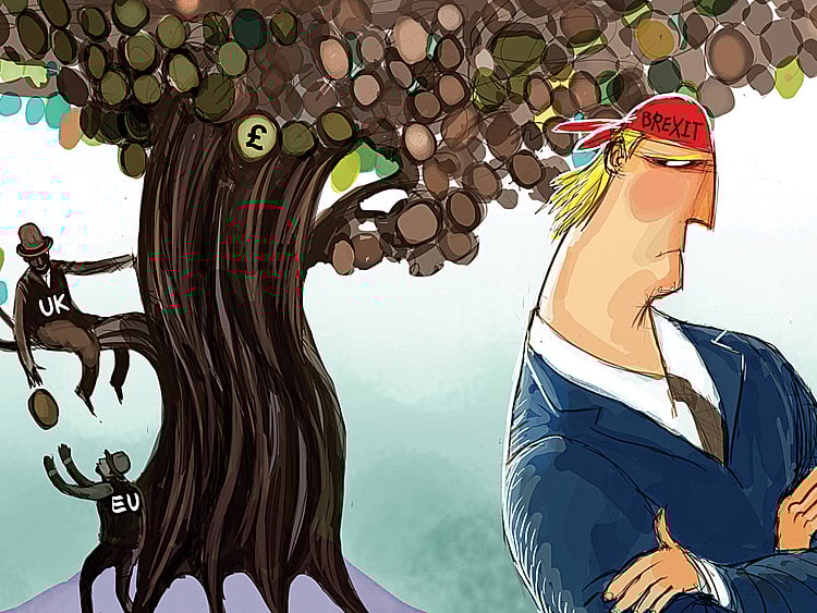 1.1843250-2394252403