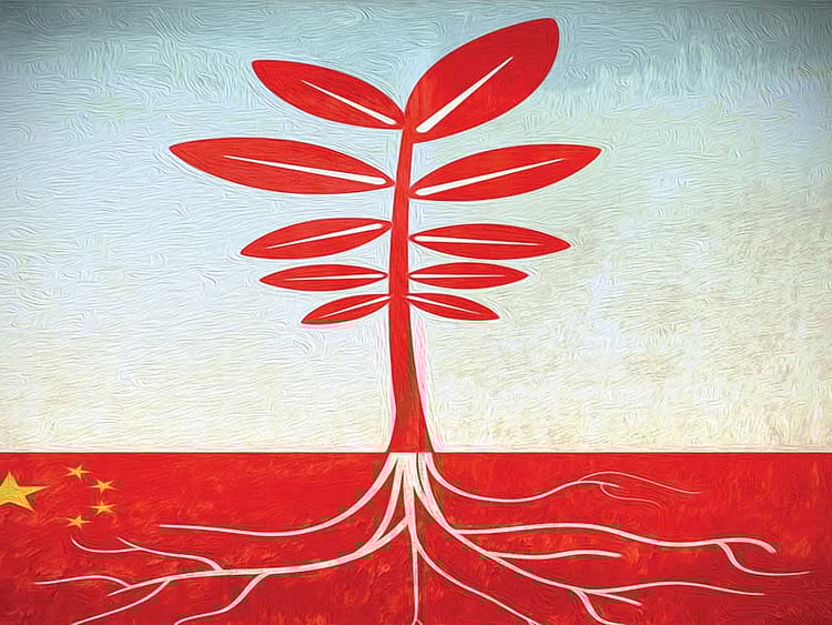 1.1861641-1308653334