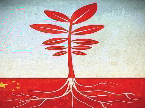 Hugo Sanchez/©Gulf News