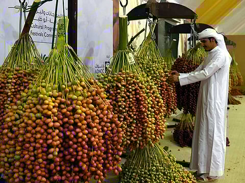 Ahmed Kutty/Gulf News