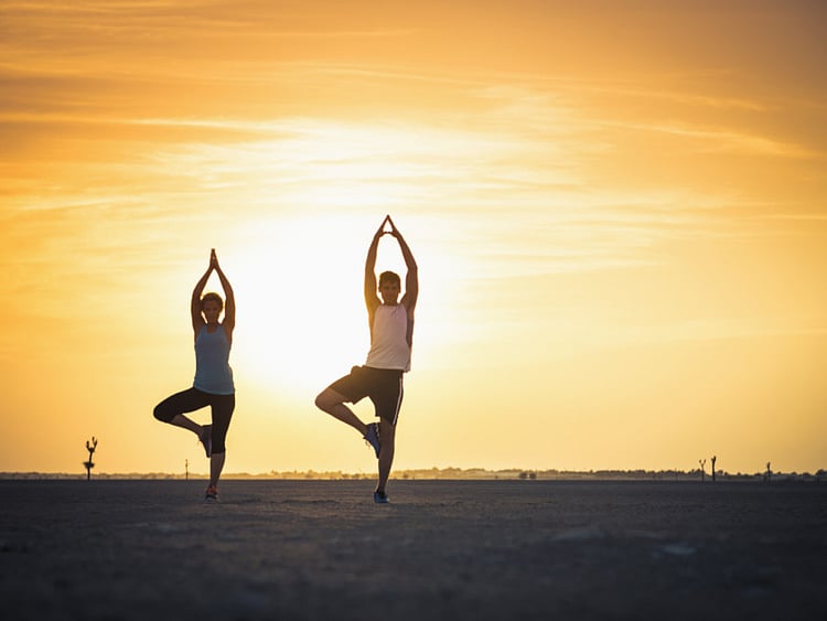 1.1865994-4266479899