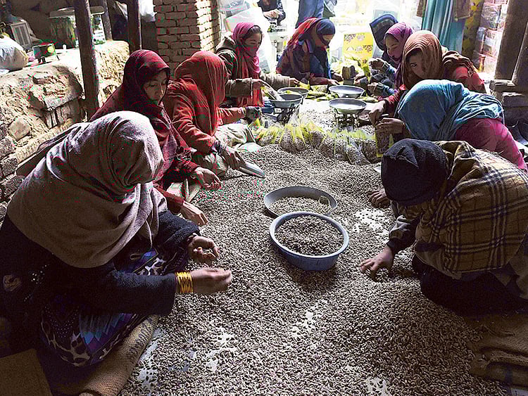 1.1865603-3636109780