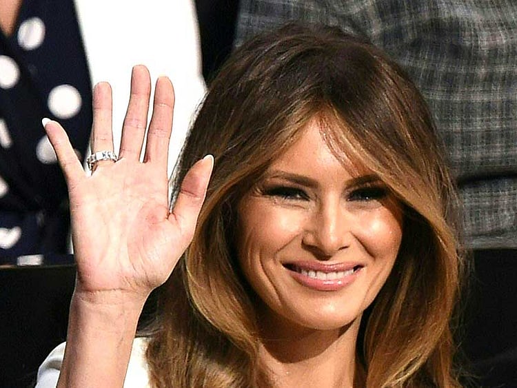 1.1866976-4039041246