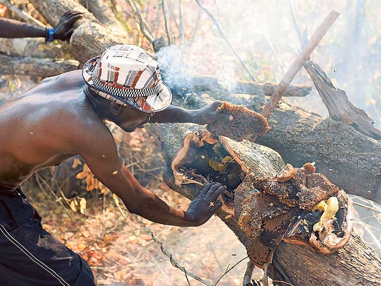 1.1867184-4178390118