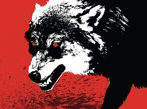 The rise of the lone wolf