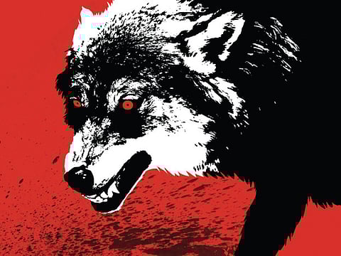 The rise of the lone wolf