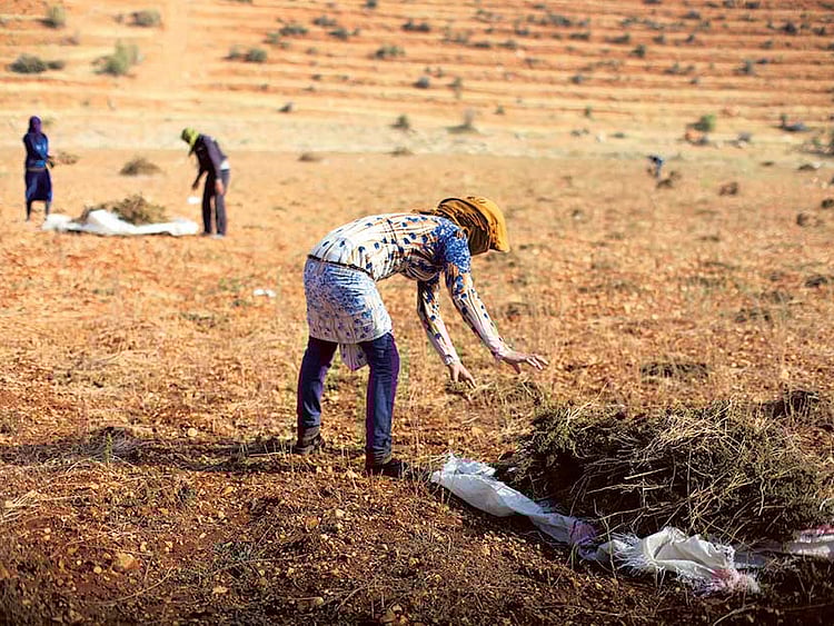 1.1868090-2503879629