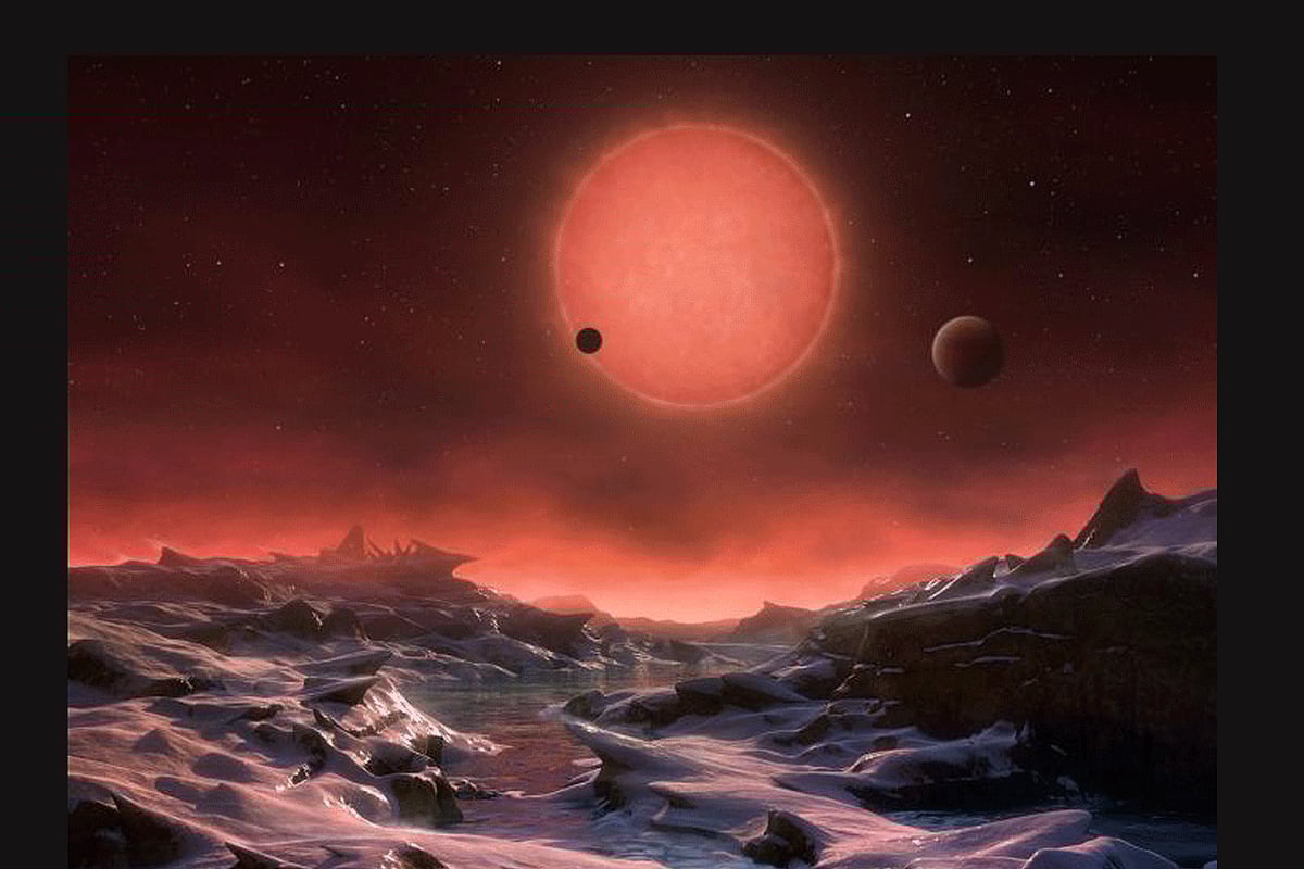 1.1868595-3432389292