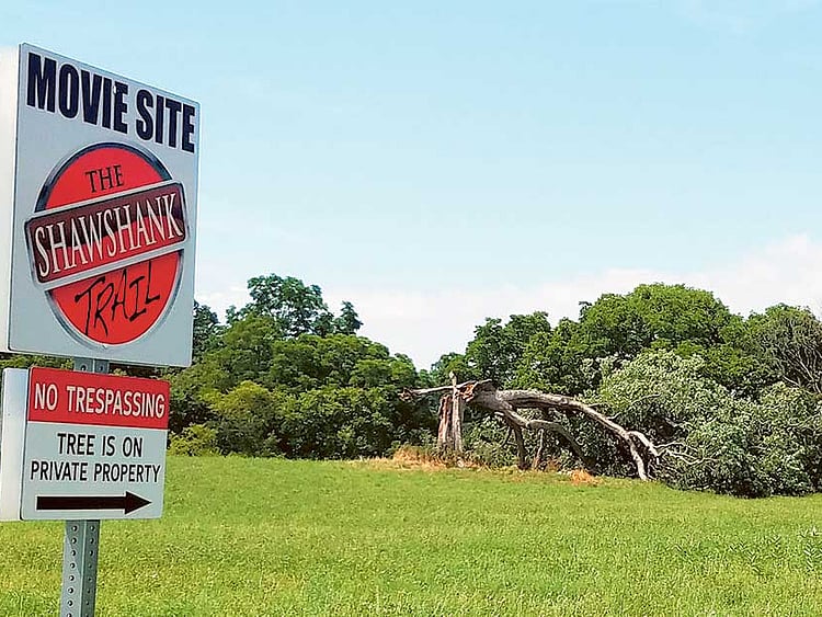 1.1868473-1176663701