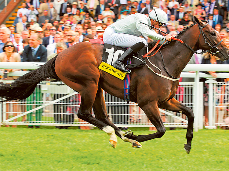 1.1869654-2340231857