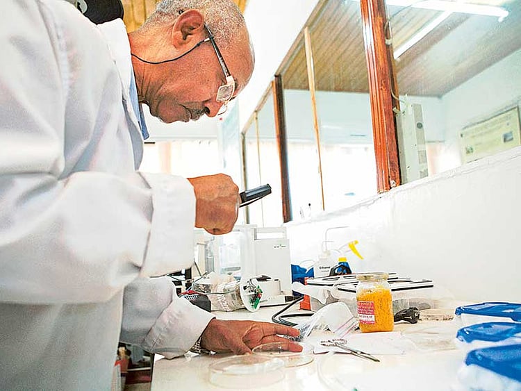 1.1869164-4001667205