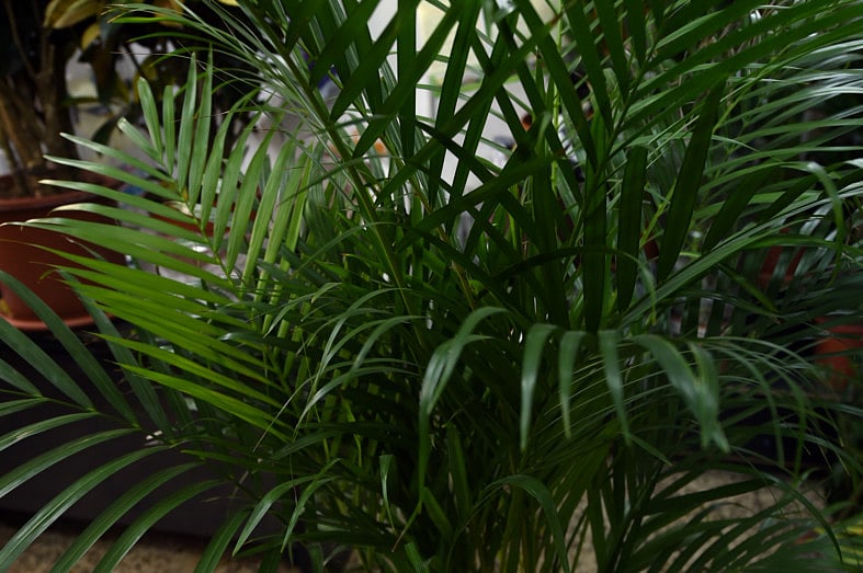 1.1869405-3187911914